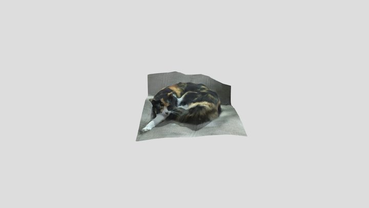 18_9_2025 3D Model