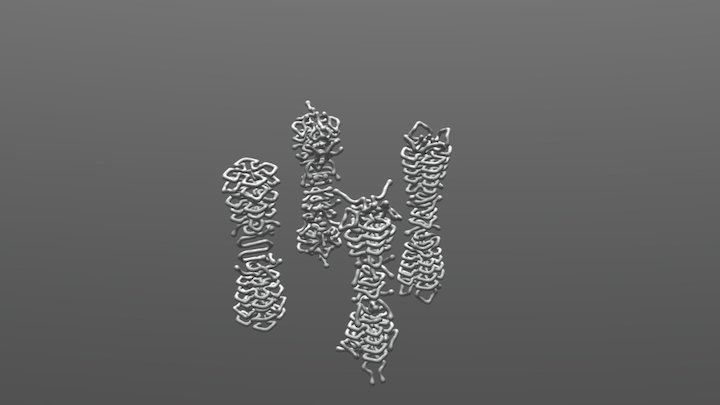 Reaction Diffusion Pillars 3D Model
