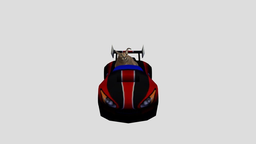 Floppa Kart Wii