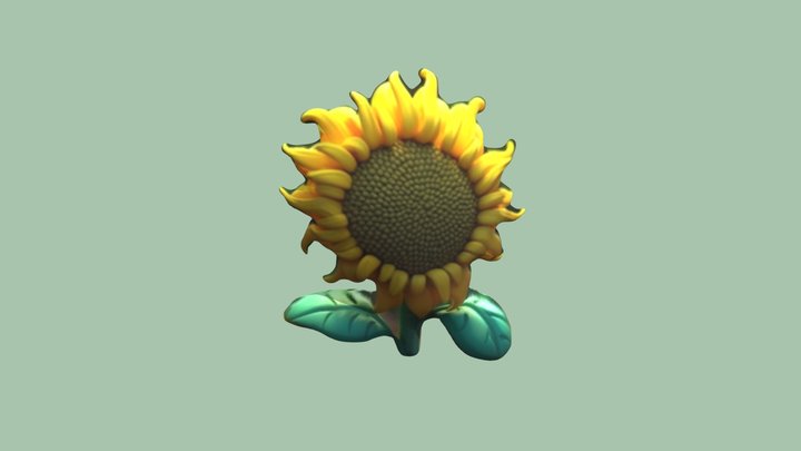 sunflower 3D Model
