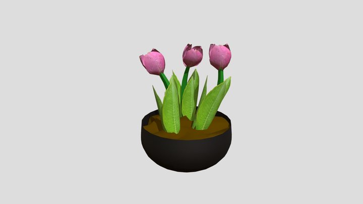 Tulips 3D Model