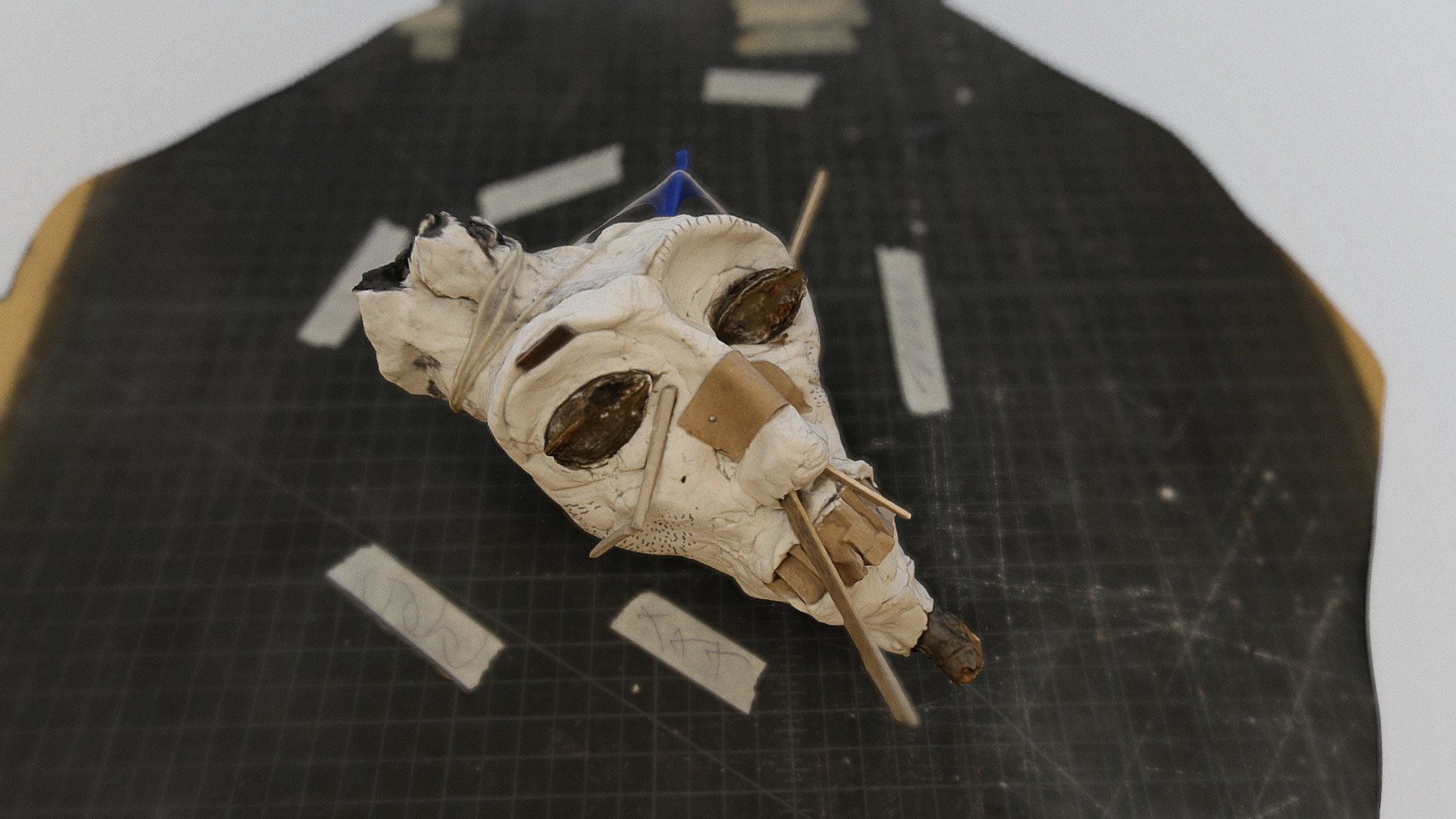 mmm437_Face_Model