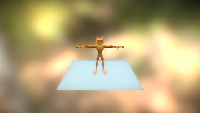 Barni Fini Tex 3D Model