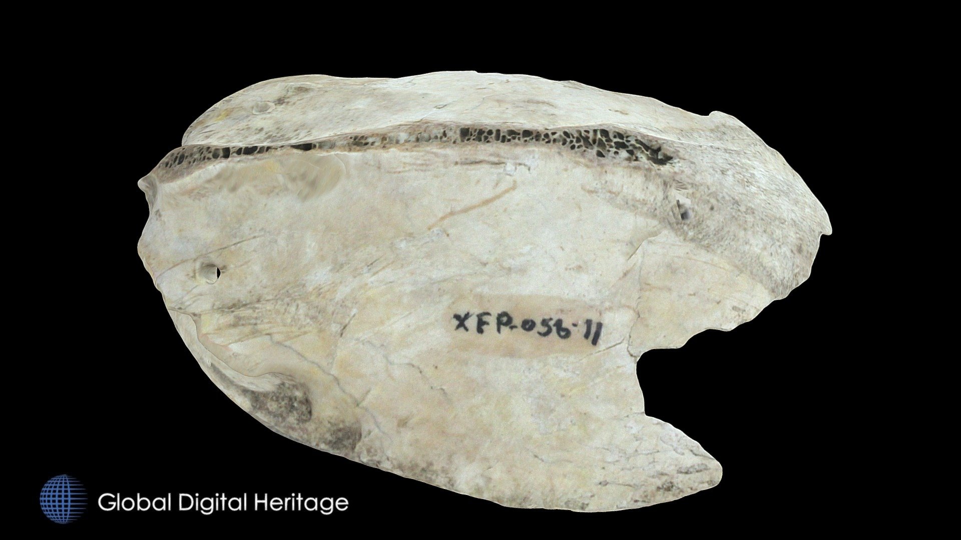 XFP-058 Carved Bird Sternum, Sanak Island, AK