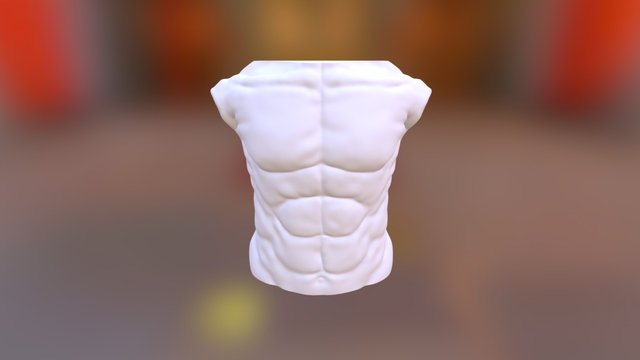 Male Torso 3D Model