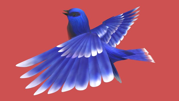 Pájaro Azul 3D Model