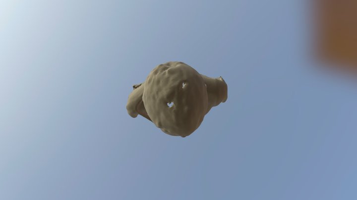 Thomas 3D Model
