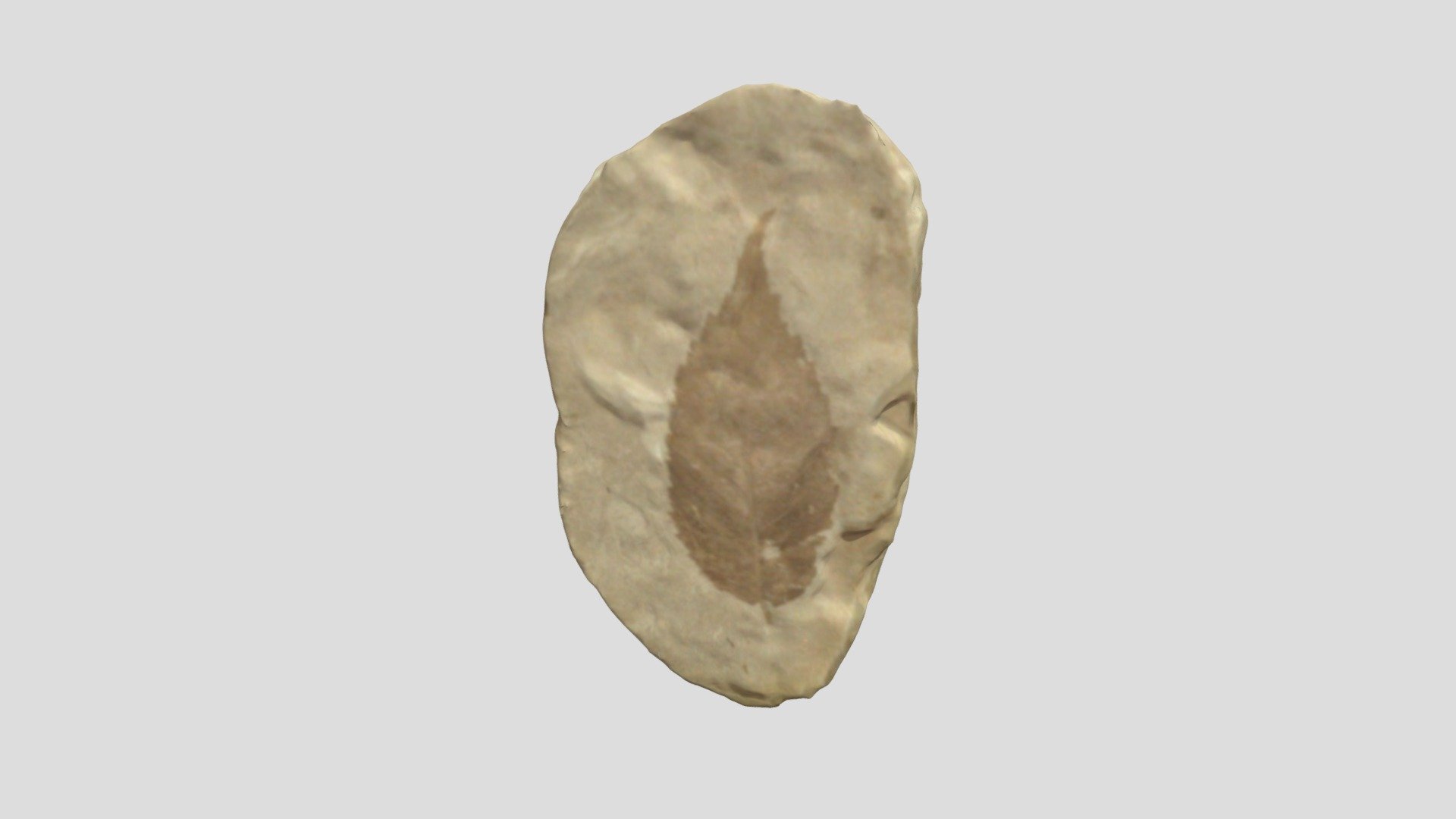 02fin