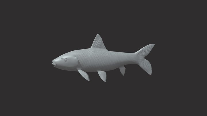 fish_v_2 3D Model
