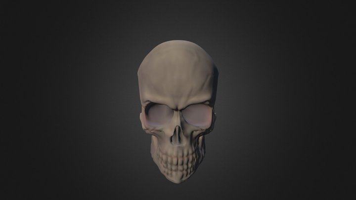 Color Skull 3D Model