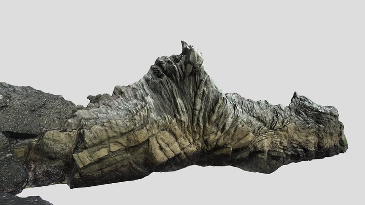 南伊豆・入間のトサカ岩 Dike called crest rock 3D Model