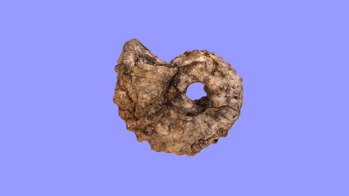 Nautiloid – Free 3D Model STL