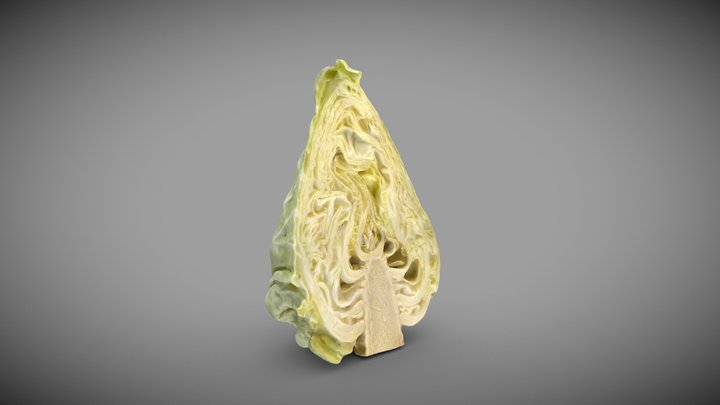 Cabbage in a Half 3D Model