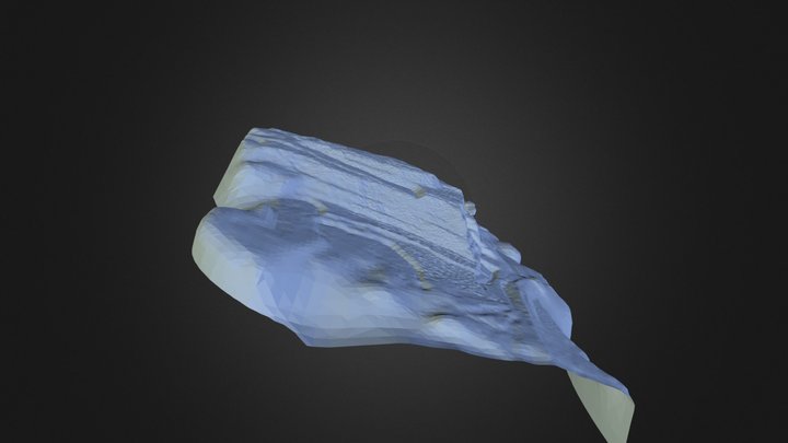 Wave Front 3D Model