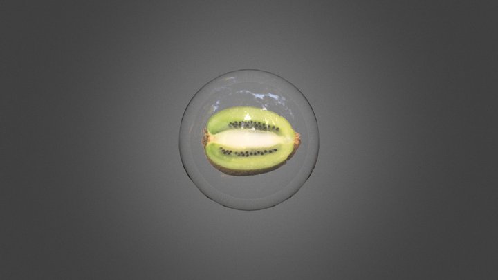Kiwi Actinide Chinensis Bubble 3D Model