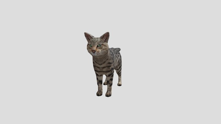 Cat 3DRT model free – Gratis 3D-model STL