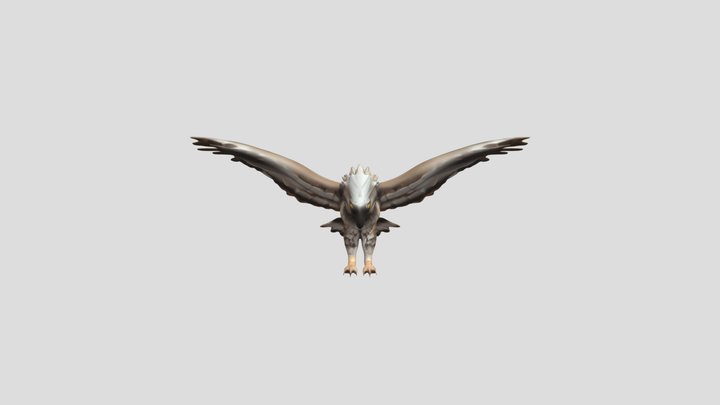 fierce bird in mid-flight 3D Model