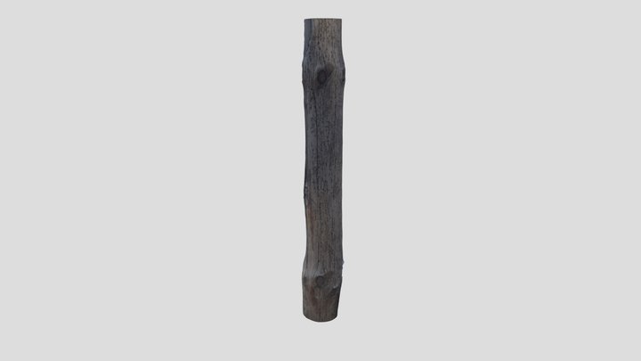 Wormed tree trunk 3D Model