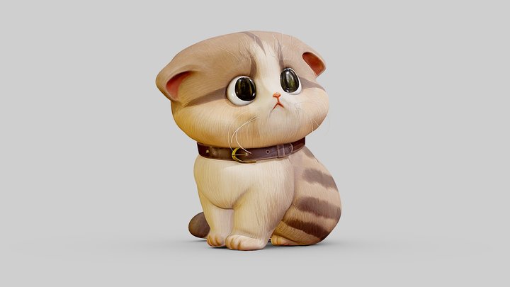 a Persian cat 3D Model