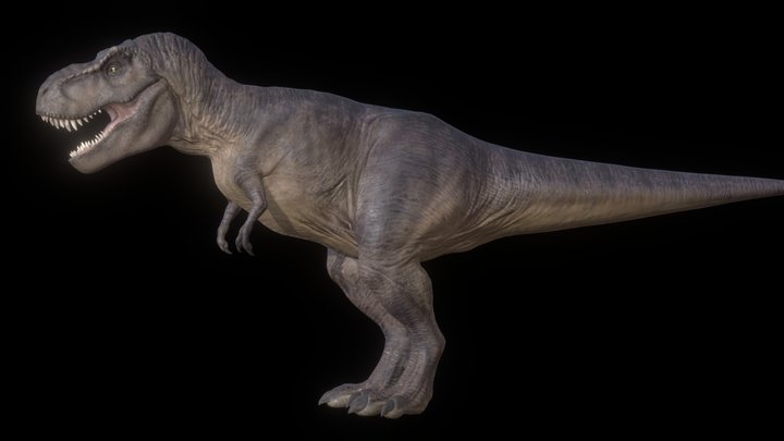 Tyrannosaurus rex 3D Model
