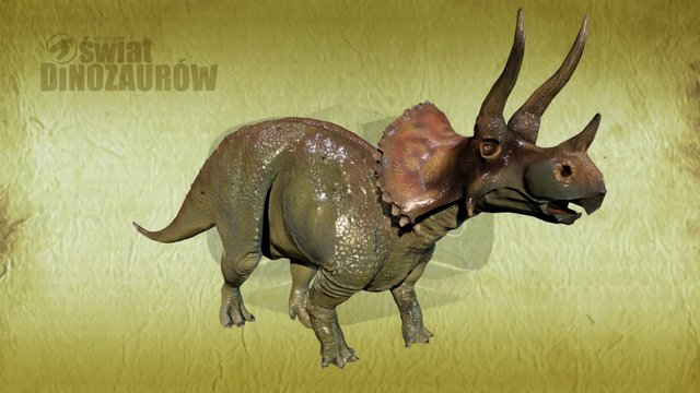 Triceratops 3D Model