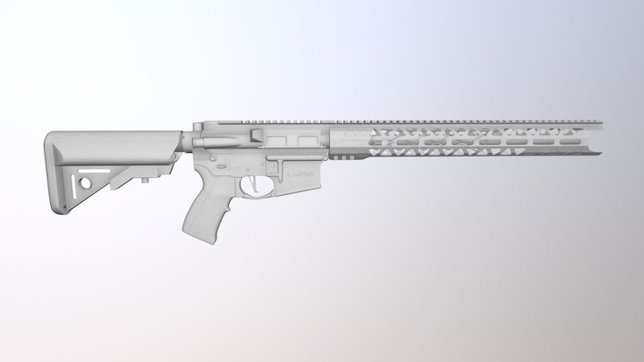 LVOA-C 3D Model