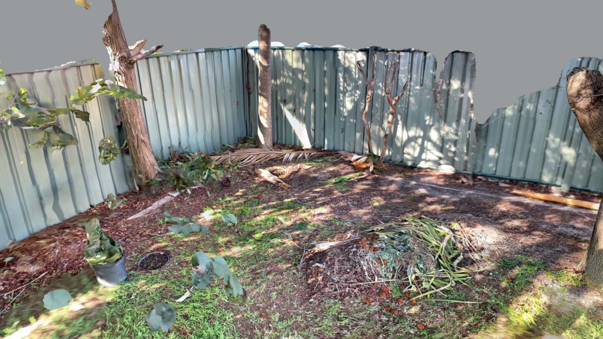 Backyard