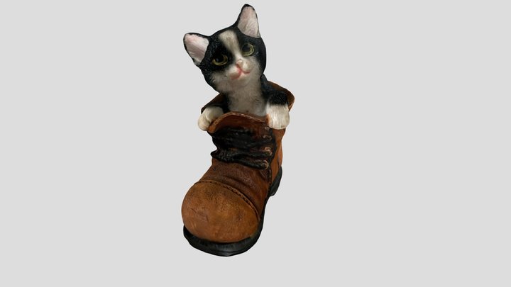 Cat in shoe 3D Model