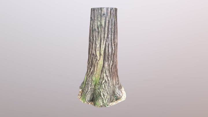 Tree trunk (photogrammetry) 3D Model