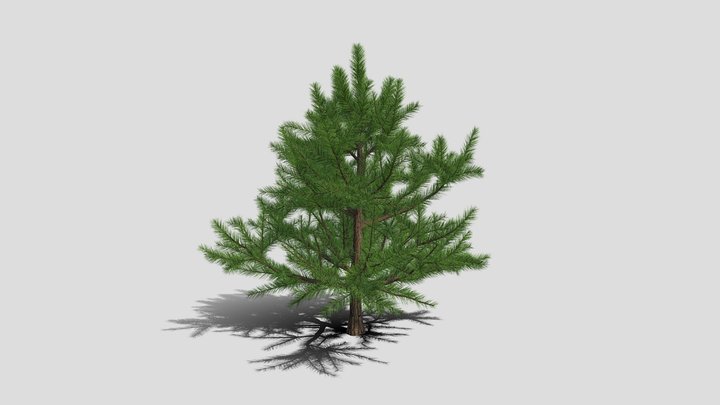 Speedtree 3D models - Sketchfab
