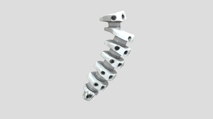 Design a spinal implant made of titanium alloy 3D Model