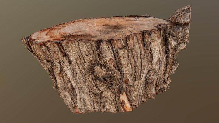 Wooden Tree Block 3D Model