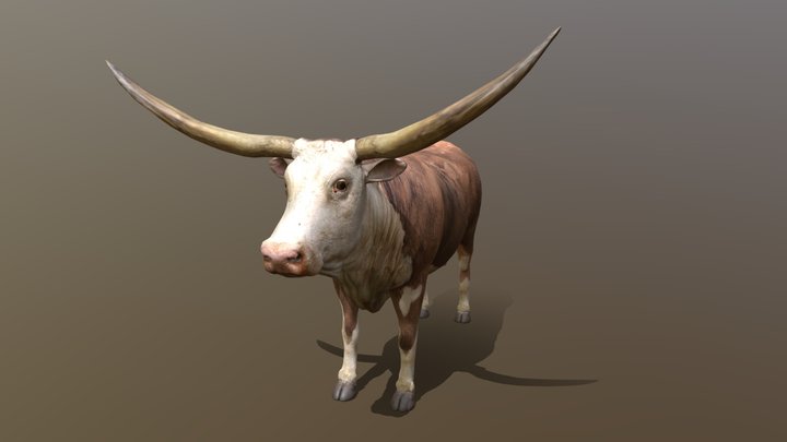 Texas Longhorn – Modelo 3D gratuito STL