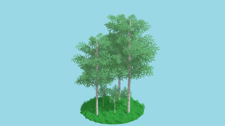 Pixel Birch Tree 3D Model