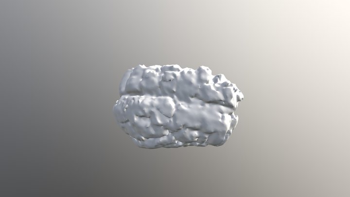 Skull - modeling clay (no texture) 3D Model