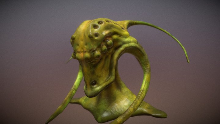 Aris 3D Model