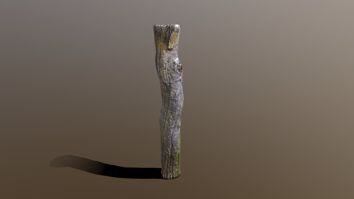 Wooden Post 3D Model