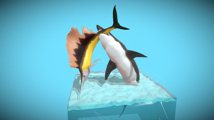 Shark life! 3D Model