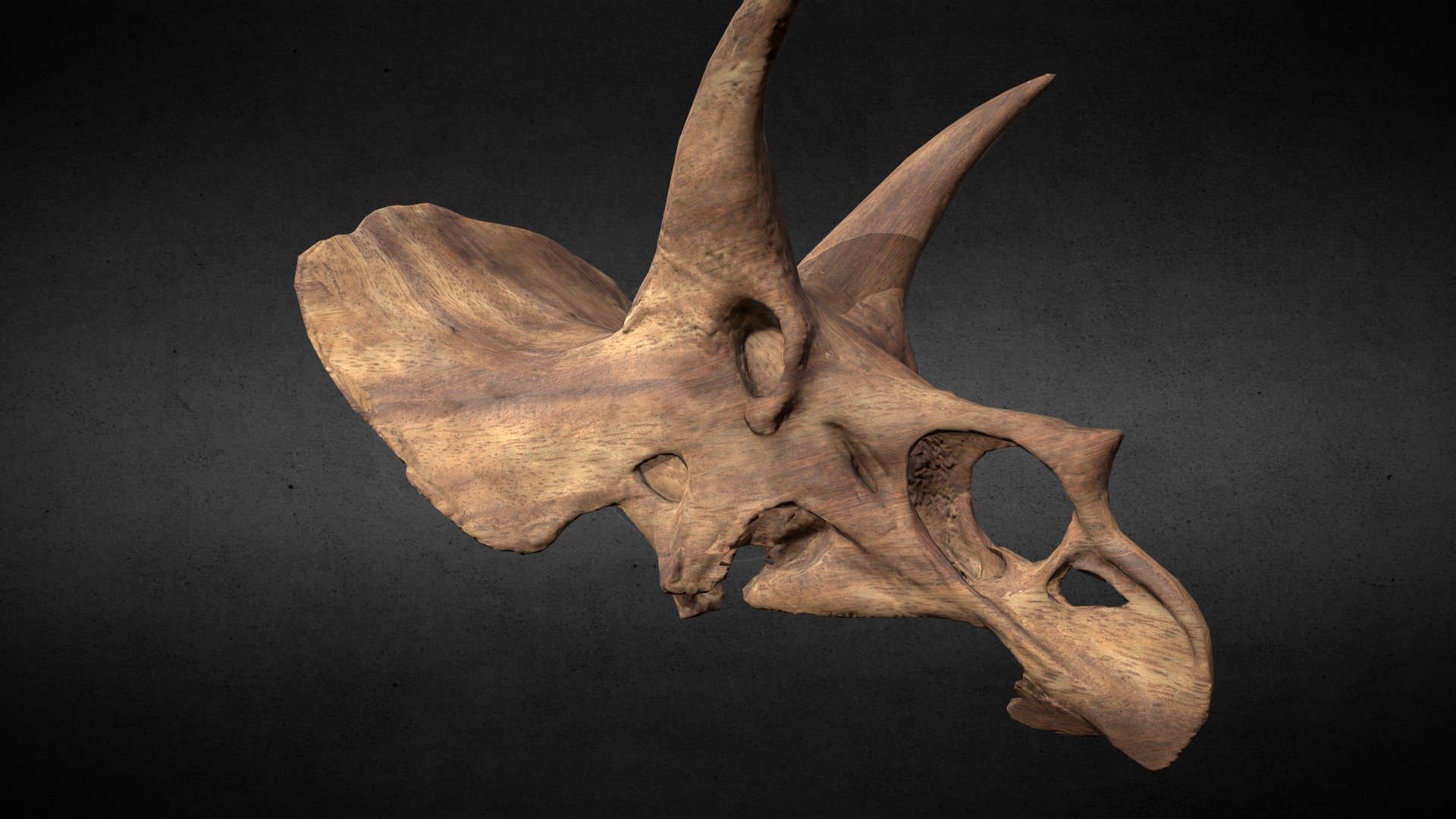 Dino skull, 4K wood textures, 7k tris