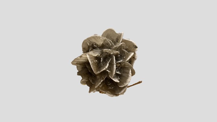 Sabakunobara – Gratis 3D-model STL
