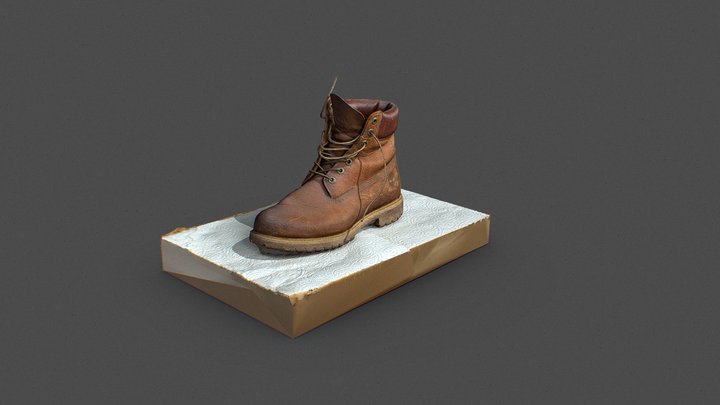 3D scan of boots 3D Model