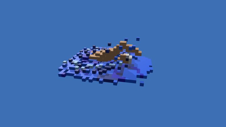 Swimmer in Voxel 3D Model