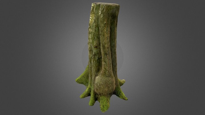 Photoscanned Tree Trunk 3D Model