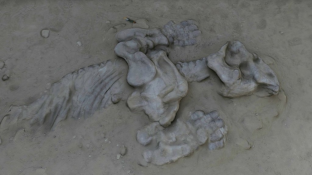Agentina - Ischigualastia Dinosaur