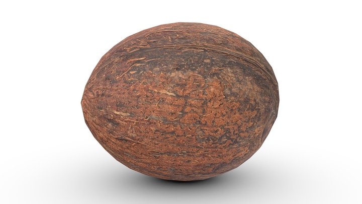 Coconut (Game Ready / 2K PBR) – Gratis 3D-model STL