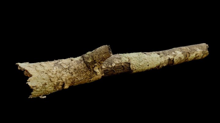 Stick 3D Scan 3D Model
