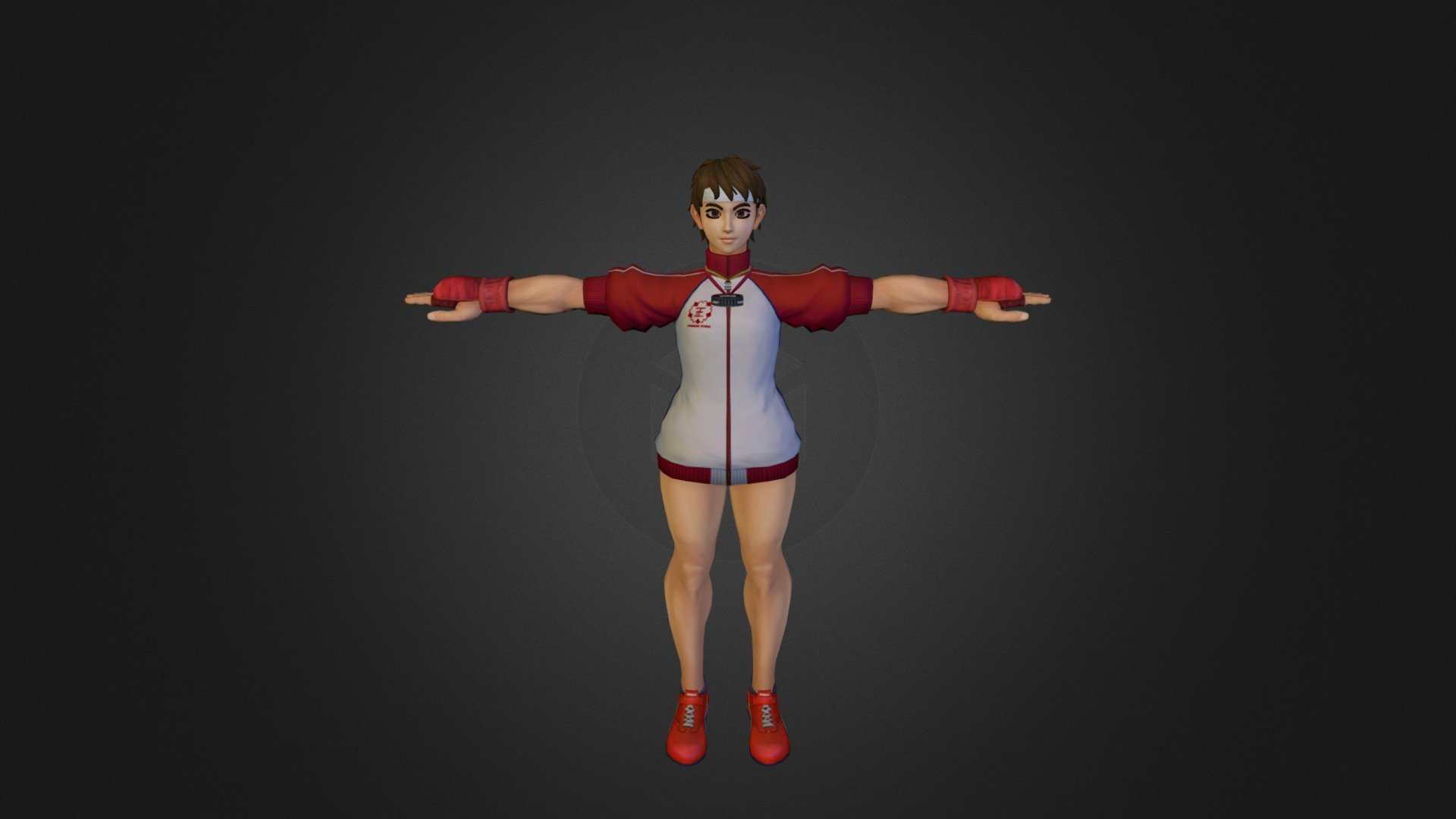 Sakura (3rd Costume)