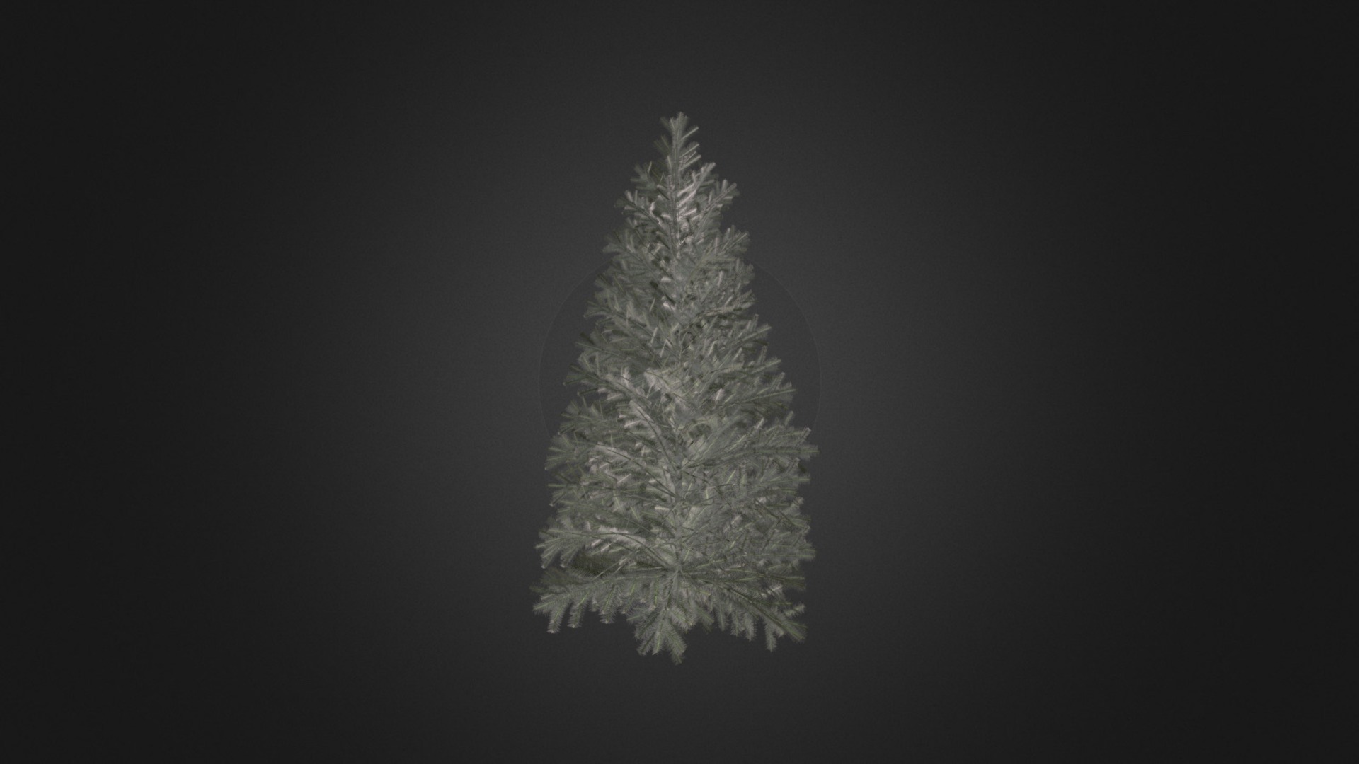 3D model Alpine Fir 25 - This is a 3D model of the Alpine Fir 25. The 3D model is about a white tree with a black background.