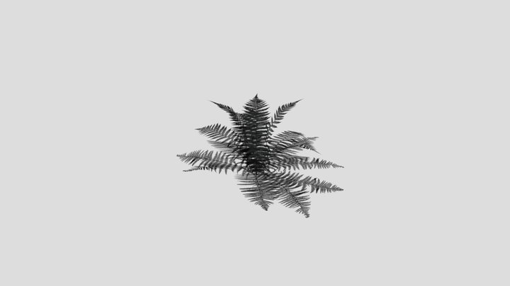 Fern Low poly game ready 3D Model