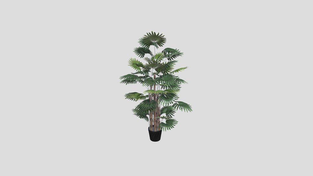 Artificial Palm Livistona 160 Cm